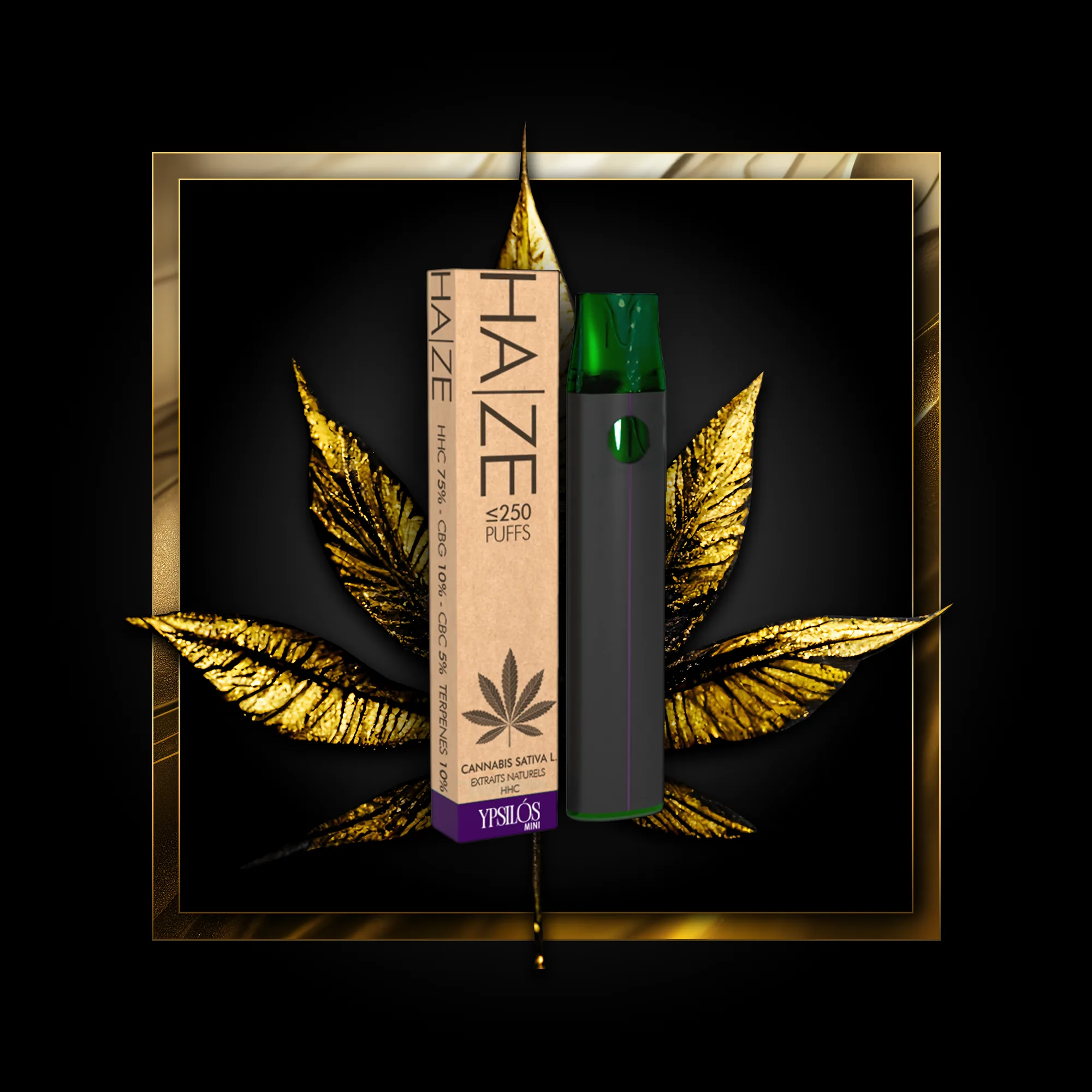Haze (vienkartinis) 250 įpūtimų - 0,50 ml. HHC