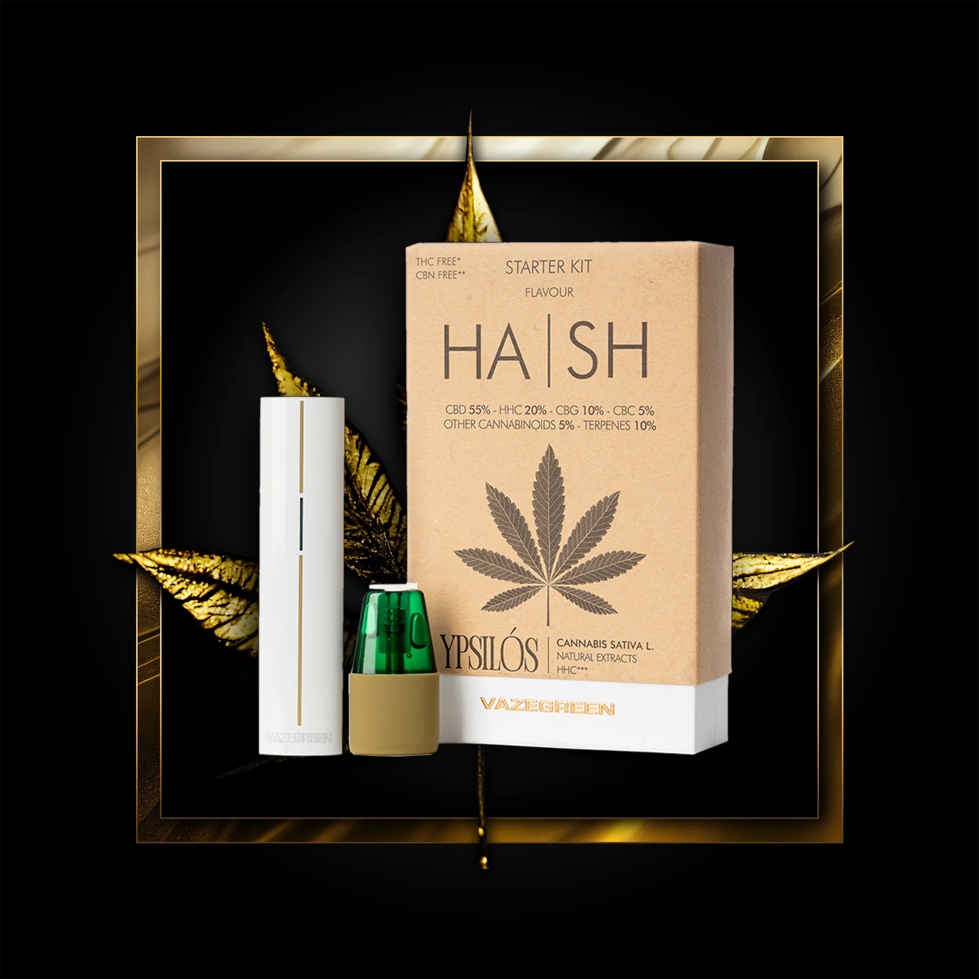 Hash Pen (pradžios rinkinys) 500 išpūtimų - 1,00 ml. HHC